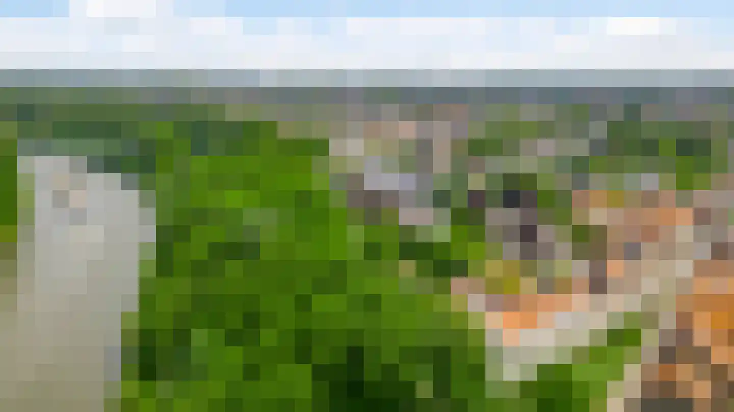 Op de Berg 7 Elsloo thumbnail 46