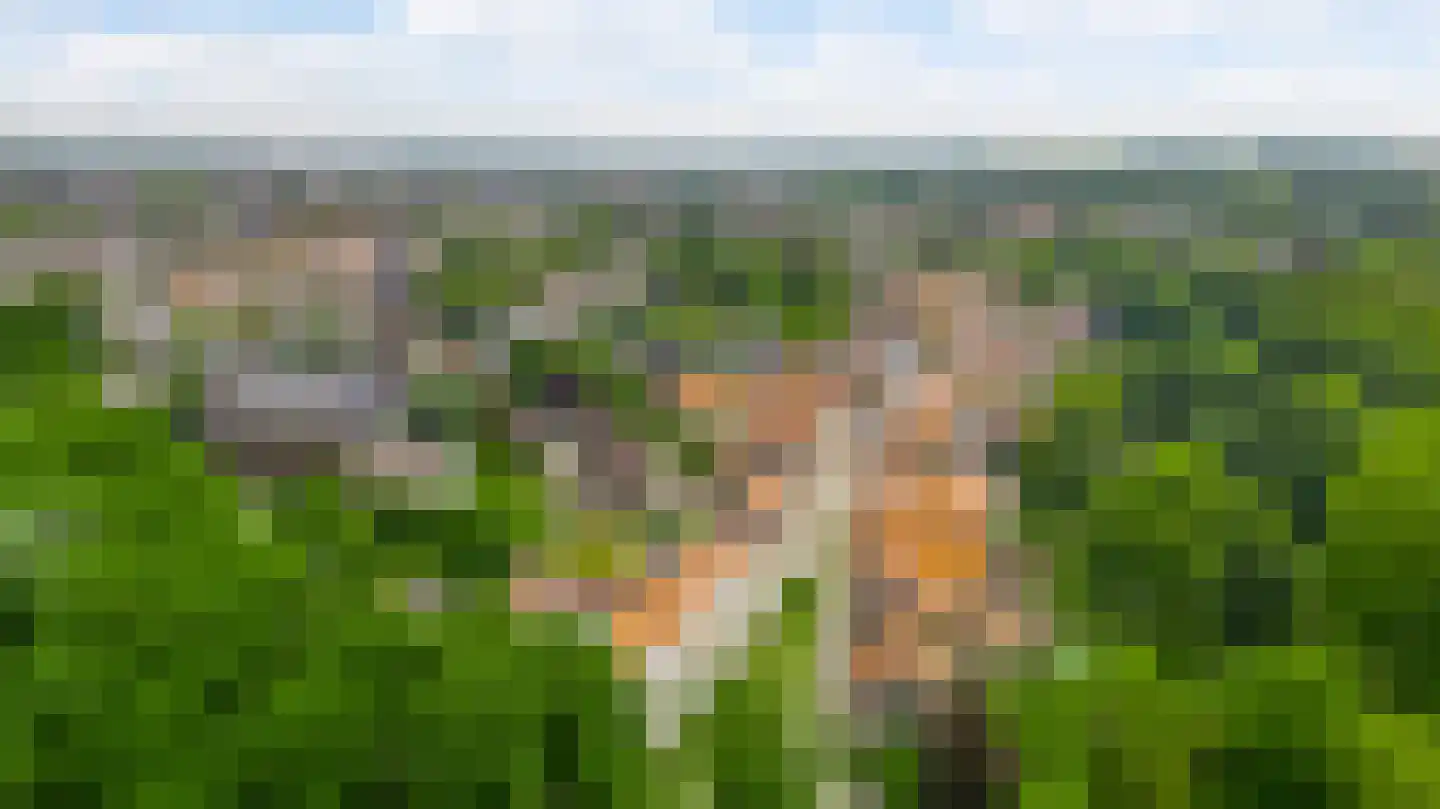 Op de Berg 7 Elsloo thumbnail 47