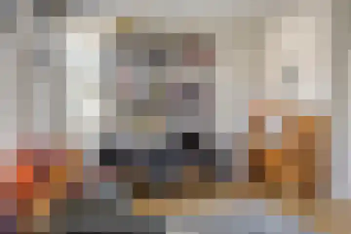 Op de Bies 38 Schimmert thumbnail 14