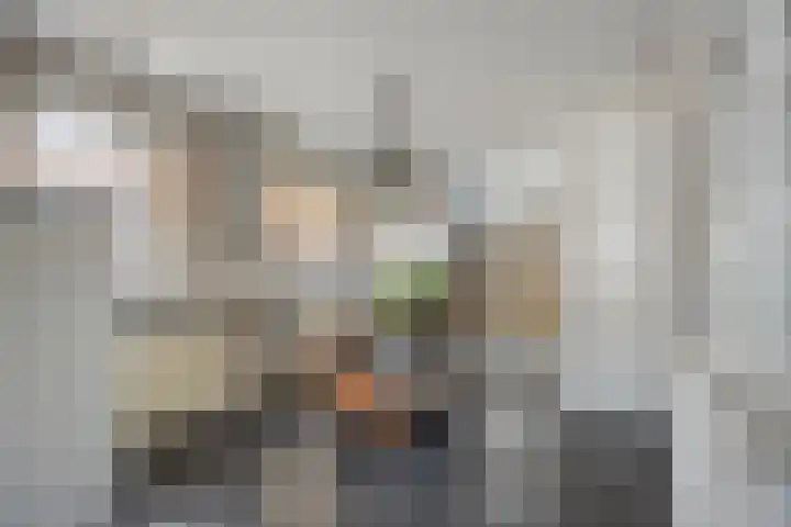 Op de Bies 38 Schimmert thumbnail 16