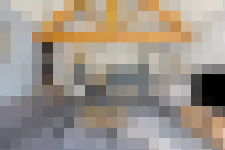 Op de Bies 38 Schimmert thumbnail 25
