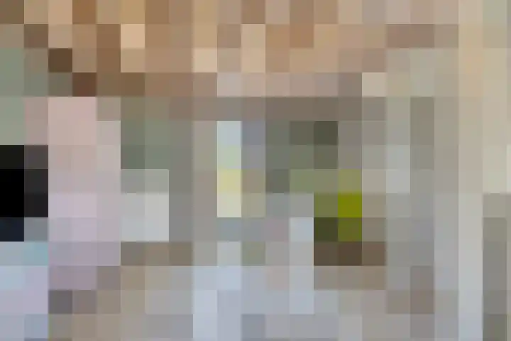 Op de Bies 38 Schimmert thumbnail 41