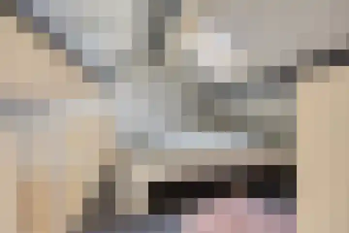Op de Bies 38 Schimmert thumbnail 42