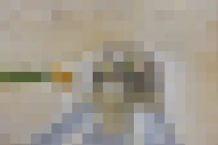 Op de Bies 38 Schimmert thumbnail 48