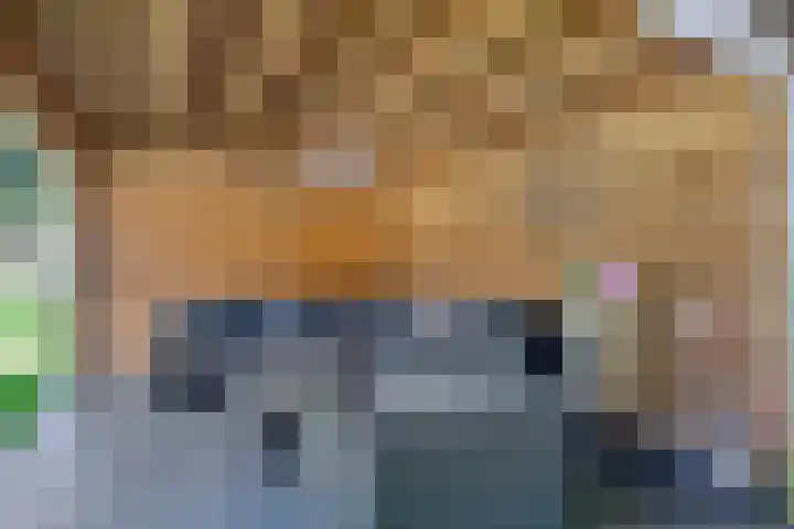Op de Bies 38 Schimmert thumbnail 51