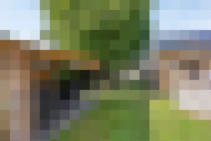 Op de Bies 38 Schimmert thumbnail 52