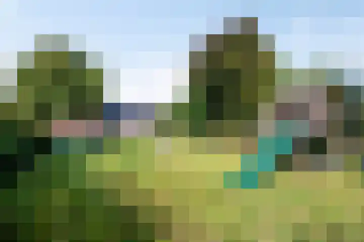 Op de Bies 38 Schimmert thumbnail 54