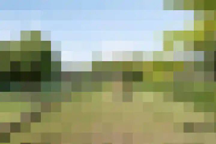Op de Bies 38 Schimmert thumbnail 56