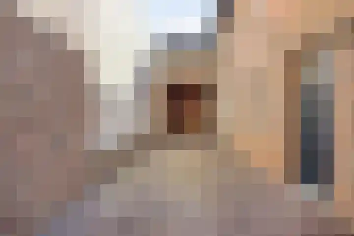Op de Bies 38 Schimmert thumbnail 7