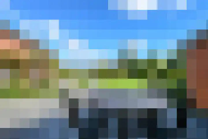 Op de Bos 7 a Roggel thumbnail 24