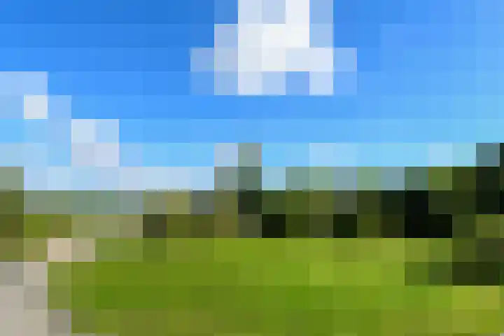 Op de Bos 7 a Roggel thumbnail 25
