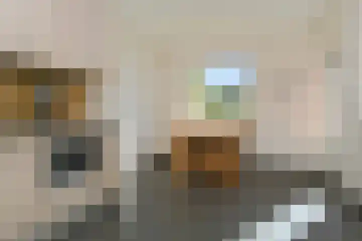 Op de Bos 7 a Roggel thumbnail 34