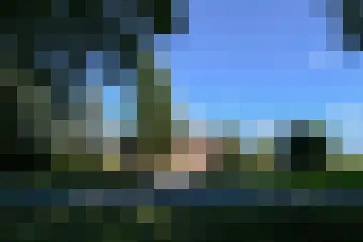 Op de Bos 7 a Roggel thumbnail 4