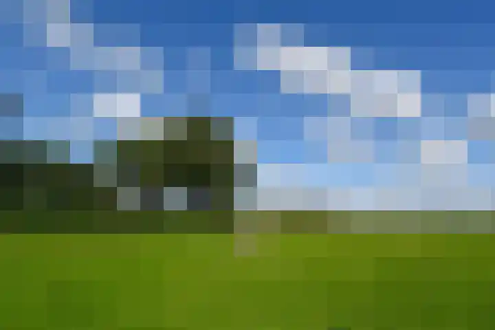 Op de Bos 7 a Roggel thumbnail 48