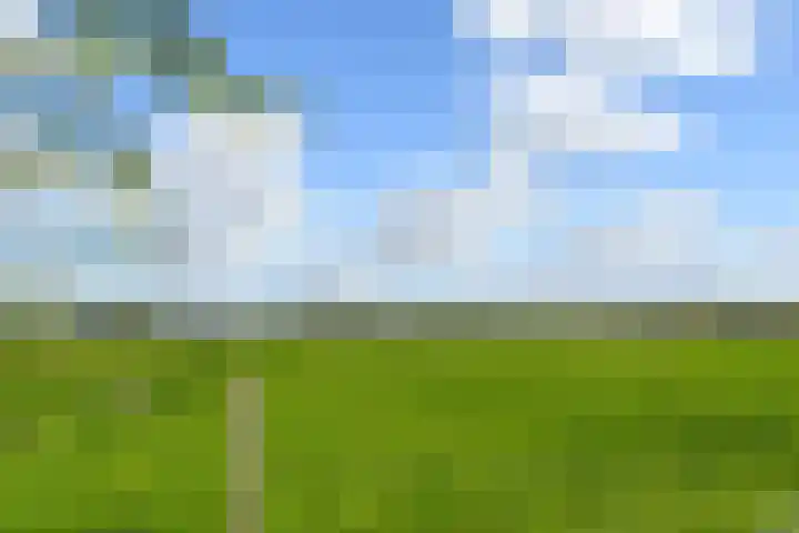 Op de Bos 7 a Roggel thumbnail 49