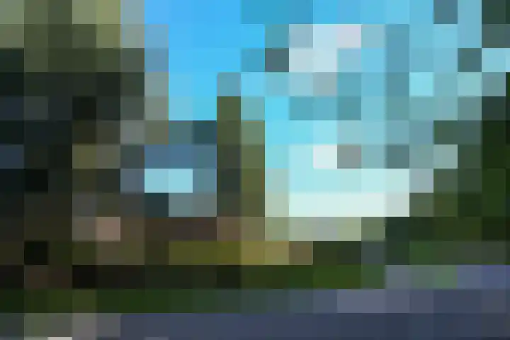 Op de Bos 7 a Roggel thumbnail 5