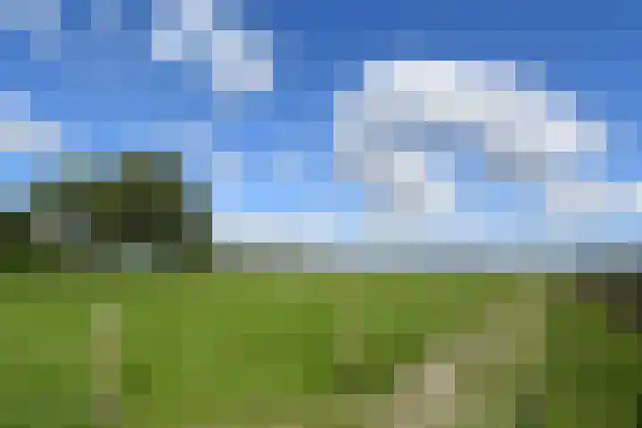 Op de Bos 7 a Roggel thumbnail 51