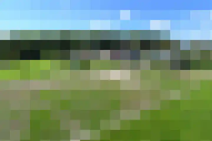 Op de Bos 7 a Roggel thumbnail 54
