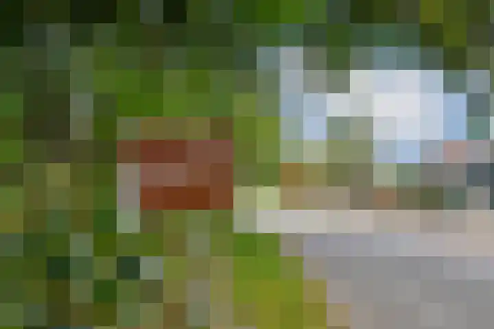 Op de Bos 7 a Roggel thumbnail 56