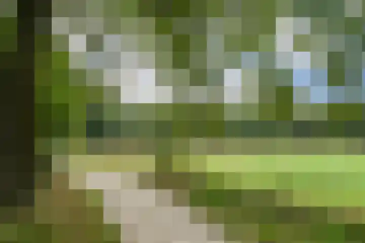 Op de Bos 7 a Roggel thumbnail 60