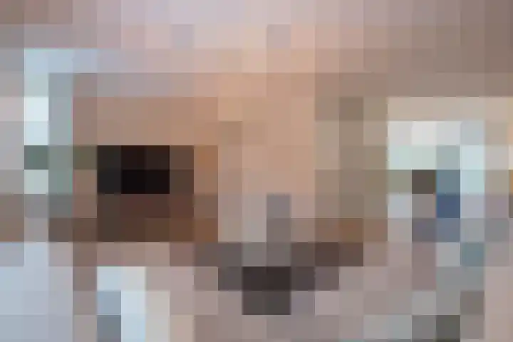 op de Bree 18 Beegden thumbnail 10