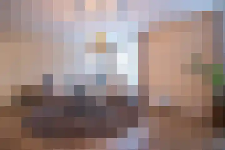 op de Bree 18 Beegden thumbnail 11