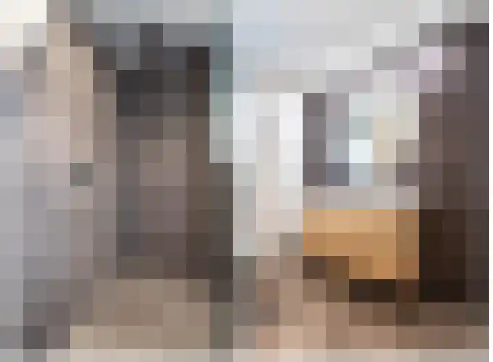 op de Bree 18 Beegden thumbnail 16