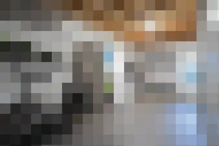 op de Bree 18 Beegden thumbnail 30