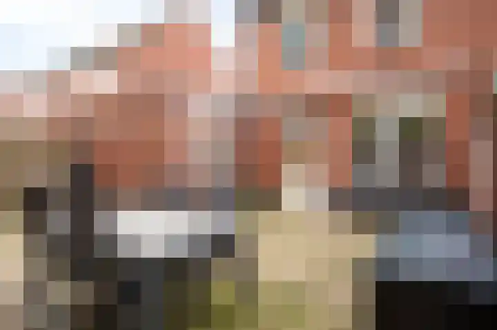 op de Bree 23 Beegden thumbnail 20