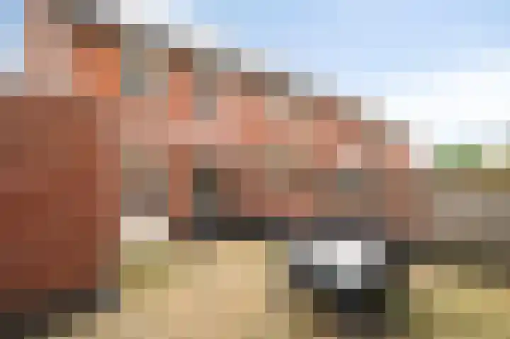 op de Bree 23 Beegden thumbnail 21