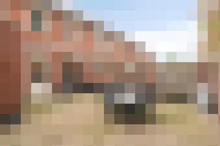 op de Bree 23 Beegden thumbnail 22
