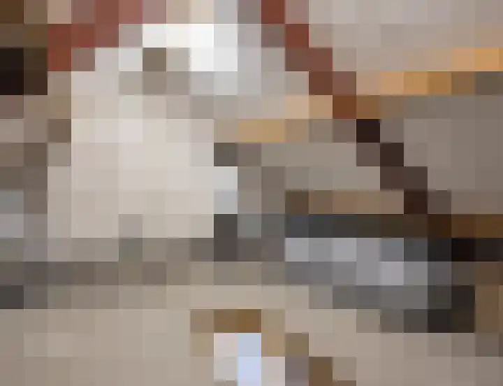 op de Bree 23 Beegden thumbnail 33
