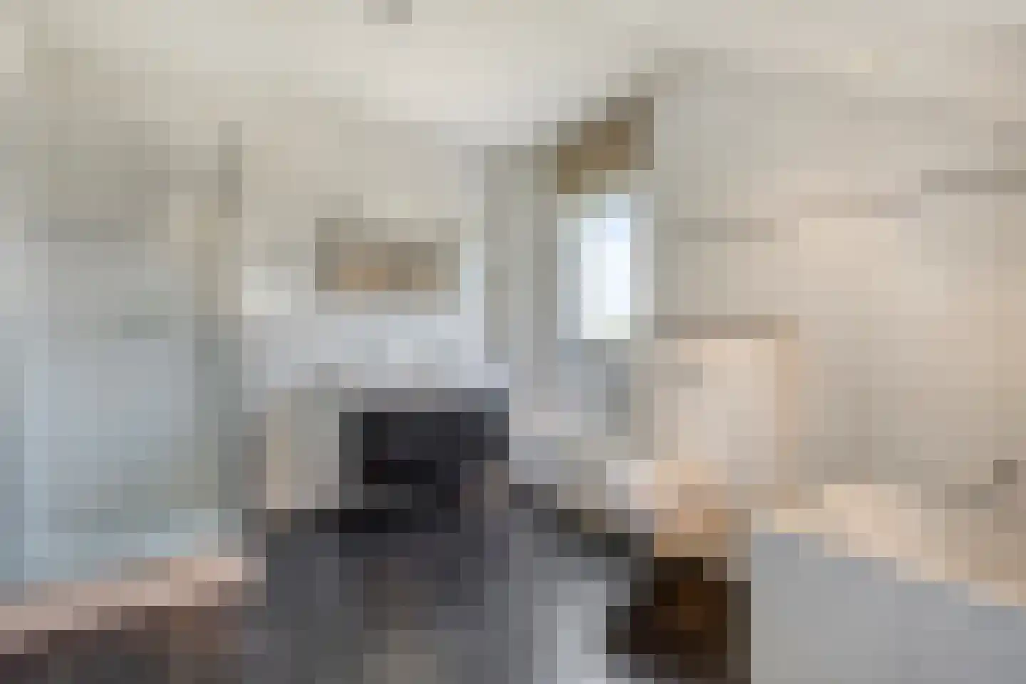 Op de Diéke 3 Gronsveld thumbnail 21