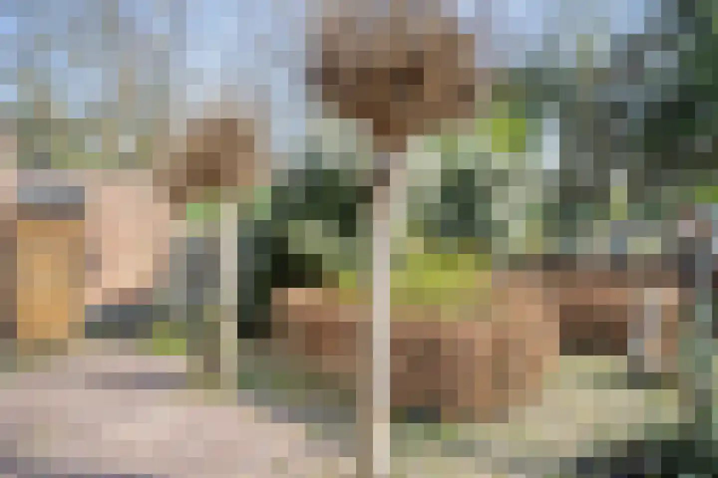 Op de Diéke 3 Gronsveld thumbnail 47