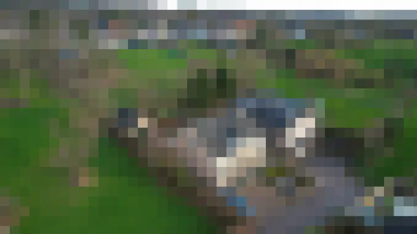 Op de Diéke 3 Gronsveld thumbnail 62