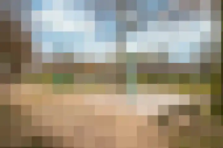 Op de Driessen 67 Koningsbosch thumbnail 22