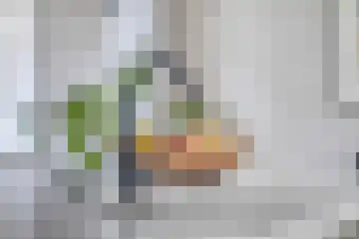 Op de Heugden 32 Landgraaf thumbnail 17