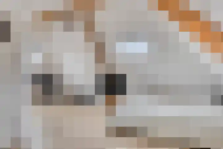 Op de Heugden 32 Landgraaf thumbnail 30