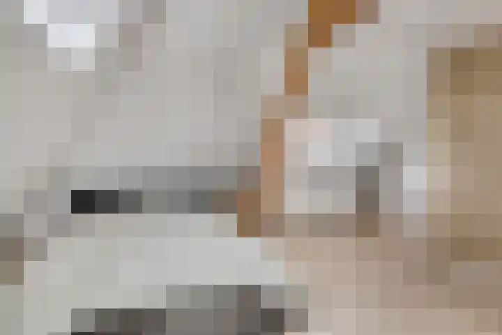 Op de Heugden 32 Landgraaf thumbnail 31