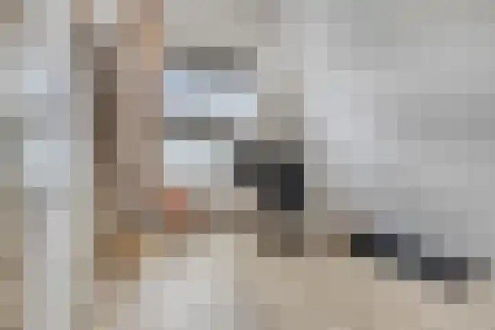 Op de Heugden 32 Landgraaf thumbnail 32