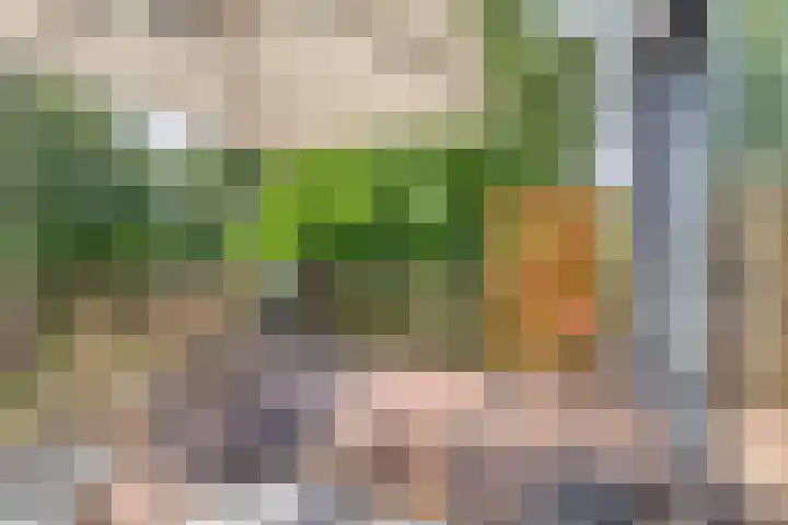 Op de Heugden 32 Landgraaf thumbnail 36