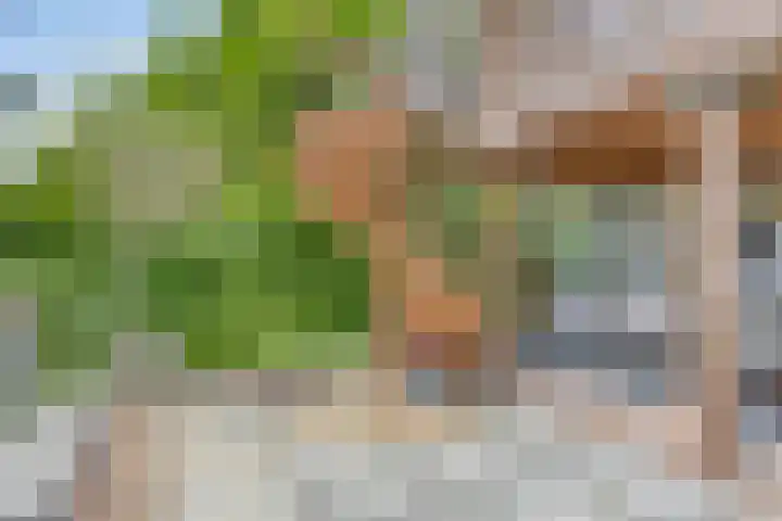 Op de Heugden 32 Landgraaf thumbnail 38