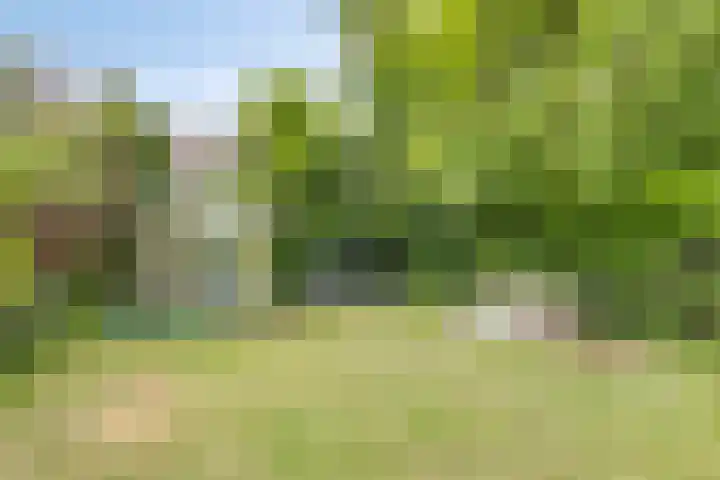 Op de Heugden 32 Landgraaf thumbnail 46