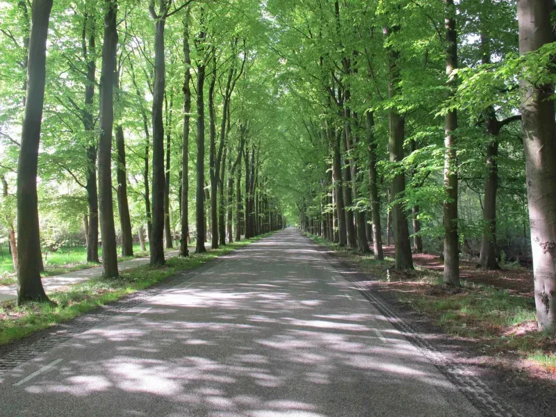 Kantoor foto van Op de Hoek Makelaardij