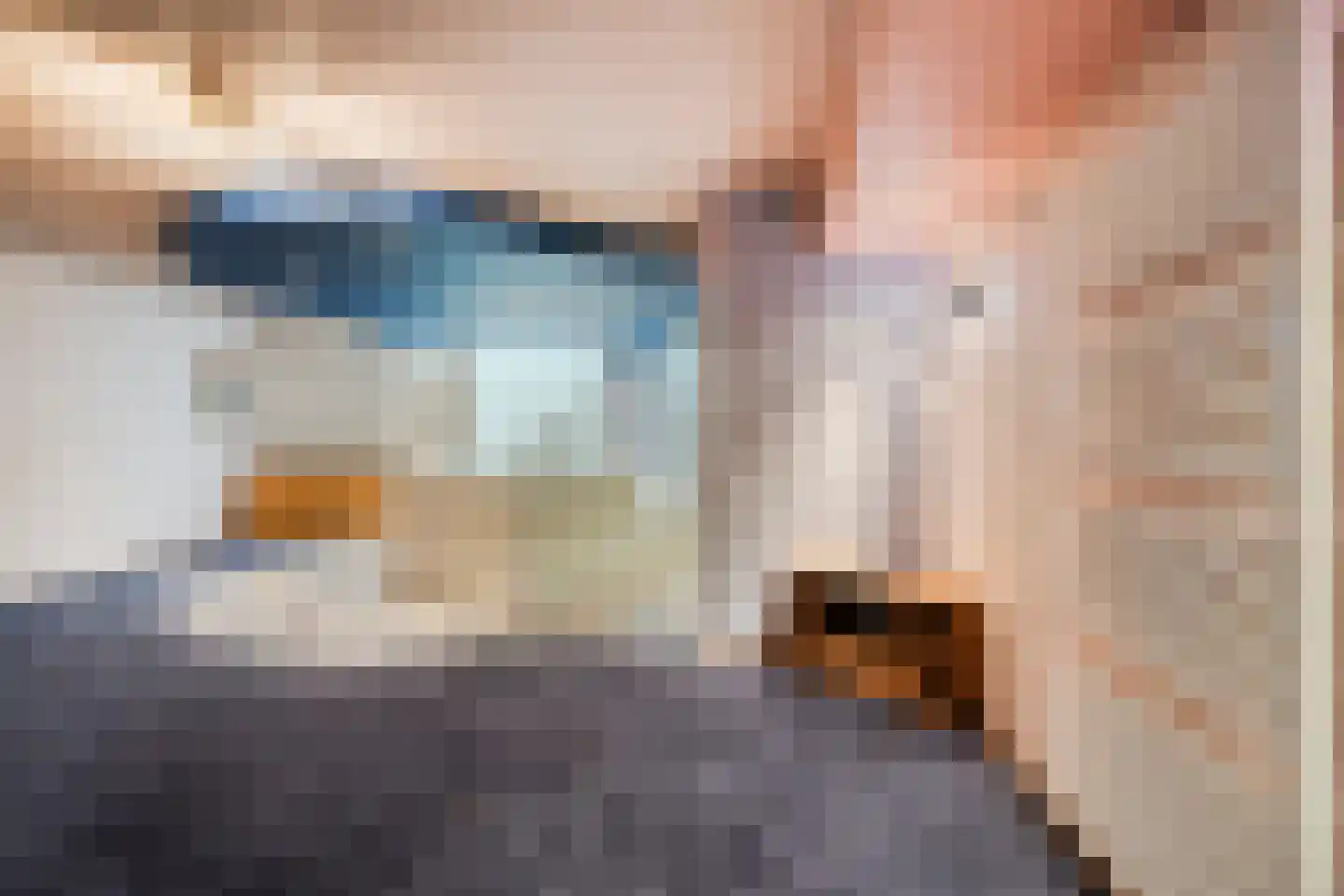 Op de Kollenberg 6 Sittard thumbnail 48
