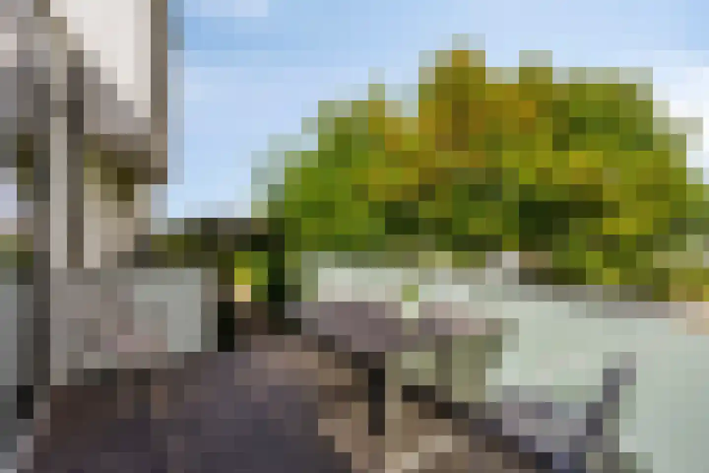 Op de Kollenberg 6 Sittard thumbnail 71
