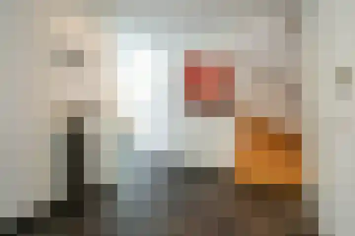 Op de Rooter 7 Susteren thumbnail 20