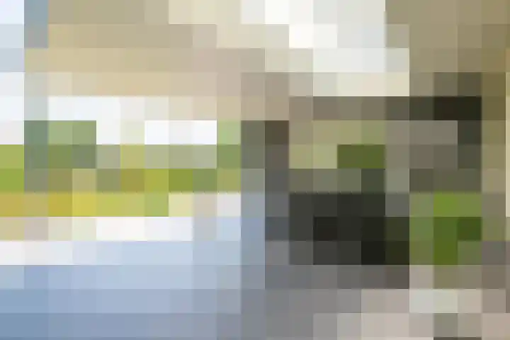 Op de Rooter 7 Susteren thumbnail 27