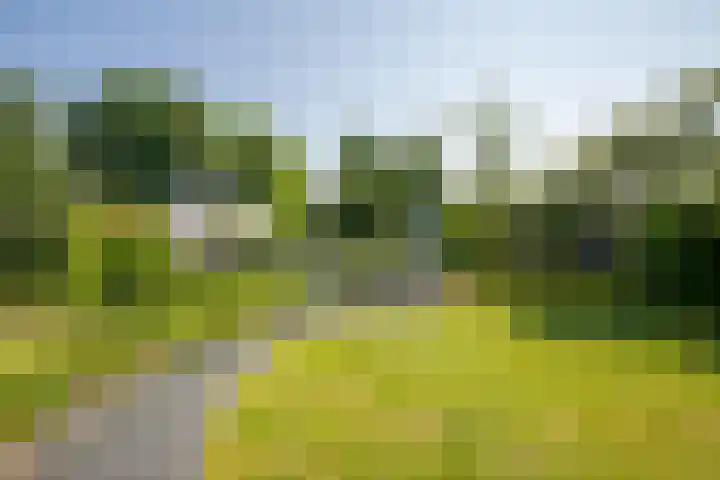 Op de Rooter 7 Susteren thumbnail 29