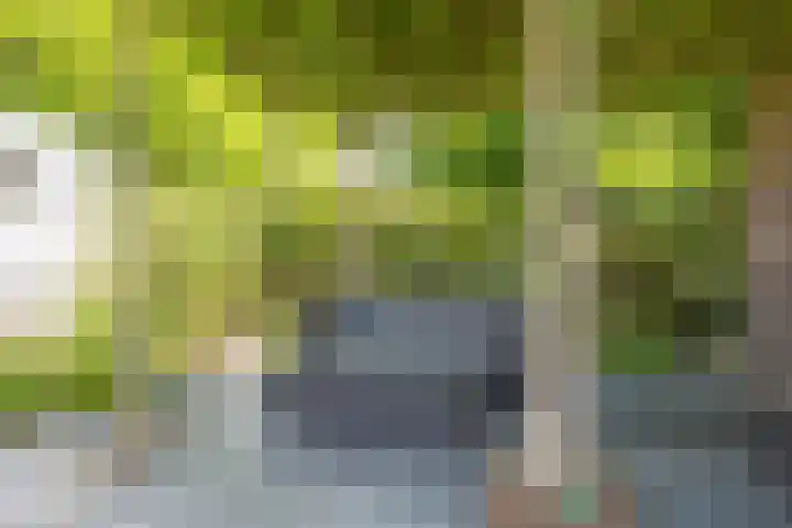 Op de Rooter 7 Susteren thumbnail 31